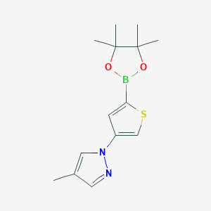 Chemical structure of 4-(4-Methyl-1H-pyrazol-1-yl)thiophene-2-boronic acid pinacol ester