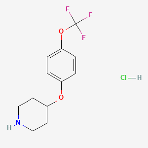 Chemical structure of 4-(4-(Trifluoromethoxy)phenoxy)piperidine hydrochloride