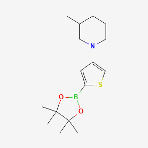 Chemical structure of 4-(3-Methylpiperidin-1-yl)thiophene-2-boronic acid pinacol ester
