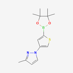 Chemical structure of 4-(3-Methyl-1H-pyrazol-1-yl)thiophene-2-boronic acid pinacol ester
