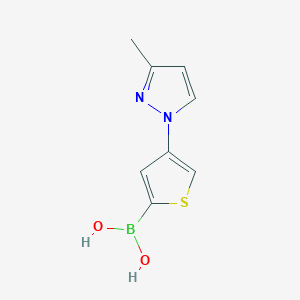 Chemical structure of 4-(3-Methyl-1H-pyrazol-1-yl)thiophene-2-boronic acid