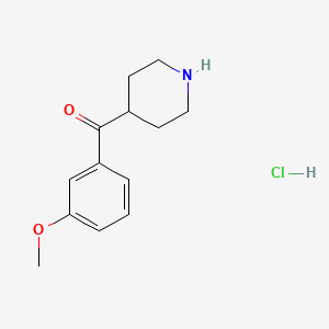 Chemical structure of 4-(3-Methoxybenzoyl)Piperidine Hydrochloride