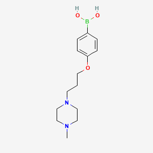 Chemical structure of 4-(3-(4-Methylpiperazin-1-yl)propoxy)phenylboronic acid
