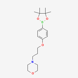 Chemical structure of 4-(3-(4-(4,4,5,5-tetramethyl-1,3,2-dioxaborolan-2-yl)phenoxy)propyl)morpholine