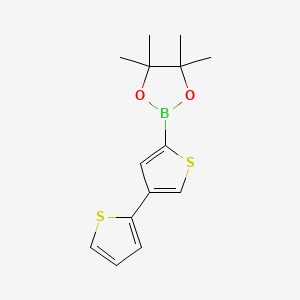 Chemical structure of 4-(2-Thienyl)thiophene-2-boronic acid pinacol ester