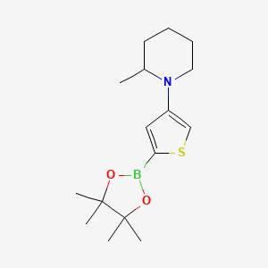 Chemical structure of 4-(2-Methylpiperidin-1-yl)thiophene-2-boronic acid pinacol ester