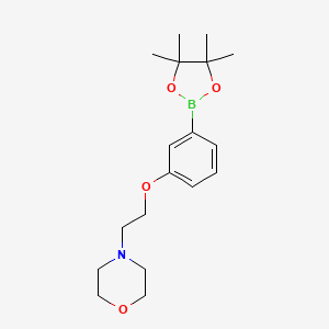 Chemical structure of 4-(2-(3-(4,4,5,5-Tetramethyl-1,3,2-dioxaborolan-2-yl)phenoxy)ethyl)morpholine