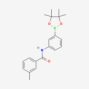 Chemical structure of 3-methyl-N-(3-(4,4,5,5-tetramethyl-1,3,2-dioxaborolan-2-yl)phenyl)benzamide