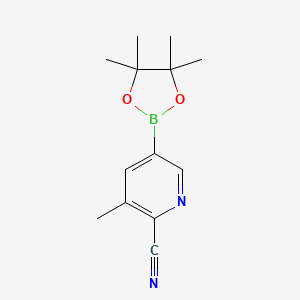 Chemical structure of 3-methyl-5-(4,4,5,5-tetramethyl-1,3,2-dioxaborolan-2-yl)pyridine-2-carbonitrile