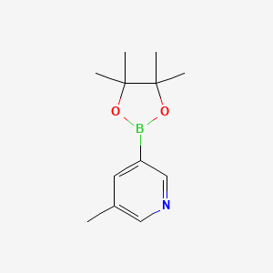 Chemical structure of 3-Methyl-5-(4,4,5,5-tetramethyl-1,3,2-dioxaborolan-2-yl)pyridine