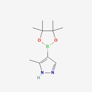 Chemical structure of 3-Methyl-1H-pyrazole-4-boronic acid pinacol ester