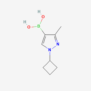 Chemical structure of 3-Methyl-1-(cyclobutyl)pyrazole-4-boronic acid