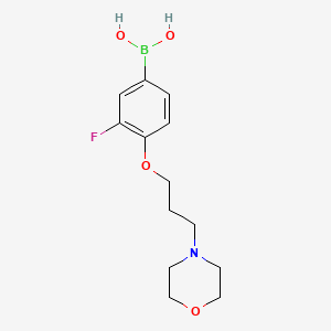 Chemical structure of 3-Fluoro-4-(3-morpholinopropoxy)phenylboronic acid