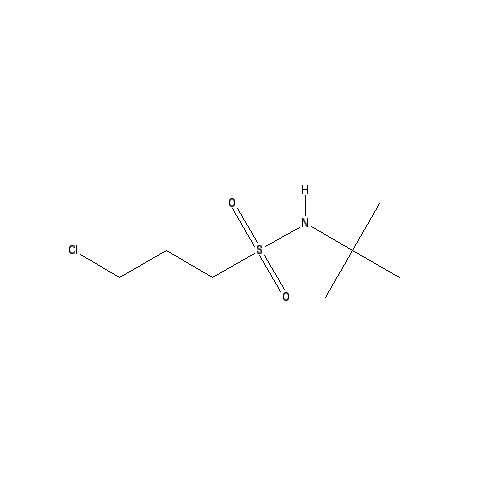 Chemical structure of N-tert-butyl-3-chloropropane-1-sulfonamide