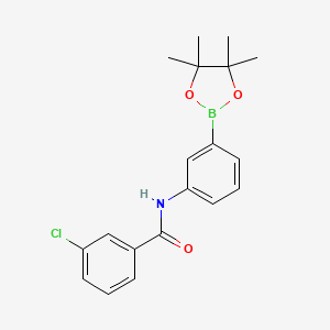 Chemical structure of 3-chloro-N-[3-(4,4,5,5-tetramethyl-1,3,2-dioxaborolan-2-yl)phenyl]benzamide