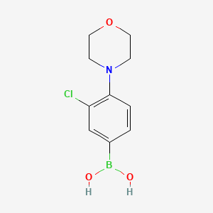Chemical structure of 3-Chloro-4-morpholinophenylboronic Acid