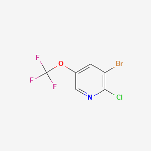 Chemical structure of 3-Bromo-2-chloro-5-(trifluoromethoxy)pyridine