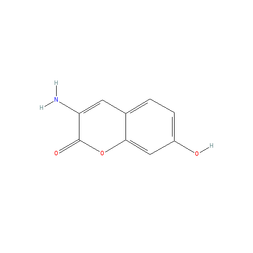 Chemical structure of 3-Amino-7-hydroxycoumarin