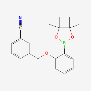 Chemical structure of 3-[2-(4,4,5,5-Tetramethyl-[1,3,2]dioxaborolan-2-yl)-phenoxymethyl]-benzonitrile