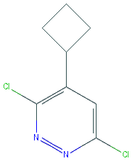 Chemical structure of 3,6-dichloro-4-cyclobutylpyridazine
