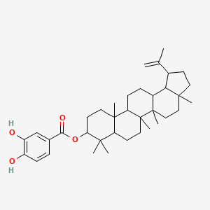 Chemical structure of 3,4-Dihydroxybenzoyllupeol
