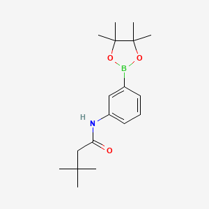Chemical structure of 3,3-dimethyl-N-[3-(4,4,5,5-tetramethyl-1,3,2-dioxaborolan-2-yl)phenyl]butanamide