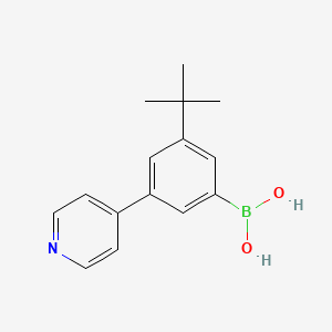 Chemical structure of 3-(tert-Butyl)-5-(pyridin-4-yl)phenylboronic acid