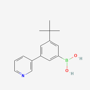 Chemical structure of 3-(tert-Butyl)-5-(pyridin-3-yl)phenylboronic acid