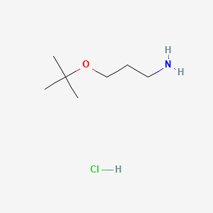 Chemical structure of 3-(tert-Butoxy)propylamine hydrochloride