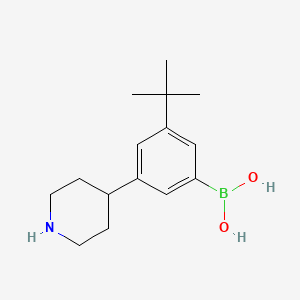 Chemical structure of 3-(Piperidin-4-yl)-5-(tert-butyl)phenylboronic acid