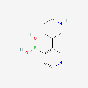 Chemical structure of 3-(Piperidin-3-yl)pyridine-4-boronic acid
