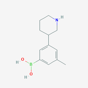 Chemical structure of 3-(Piperidin-3-yl)-5-methylphenylboronic acid