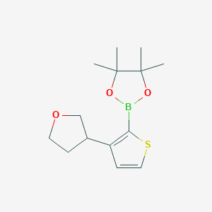 Chemical structure of 3-(Oxolan-3-yl)thiophene-2-boronic acid pinacol ester