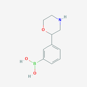 Chemical structure of 3-(Morpholin-2-yl)phenylboronic acid