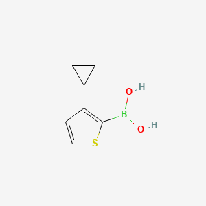Chemical structure of 3-(Cyclopropyl)thiophene-2-boronic acid