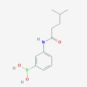 Chemical structure of 3-(4-methylpentanamido)phenylboronic acid