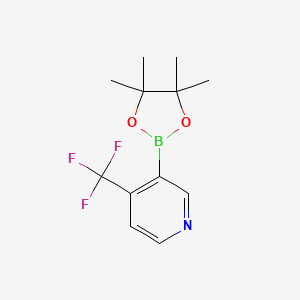 Chemical structure of 3-(4,4,5,5-Tetramethyl-1,3,2-dioxaborolan-2-yl)-4-(trifluoromethyl)pyridine