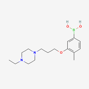 Chemical structure of 3-(3-(4-Ethylpiperazin-1-yl)propoxy)-4-methylphenylboronic acid