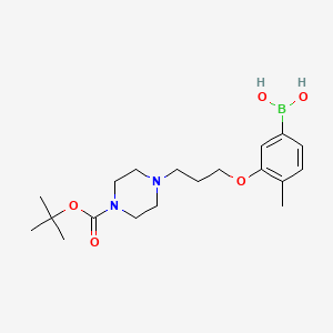 Chemical structure of 3-(3-(4-(tert-Butoxycarbonyl)piperazin-1-yl)propoxy)-4-methylphenylboronic acid