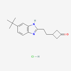 Chemical structure of 3-(2-(6-(tert-Butyl)-1H-benzo[d]imidazol-2-yl)ethyl)cyclobutanone hydrochloride