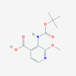 Chemical structure of 3-(Tert-butoxycarbonylamino)-2-methoxyisonicotinic acid