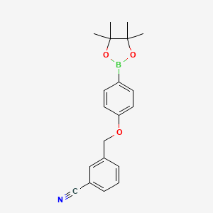Chemical structure of 3-((4-(4,4,5,5-tetramethyl-1,3,2-dioxaborolan-2-yl)phenoxy)methyl)benzonitrile