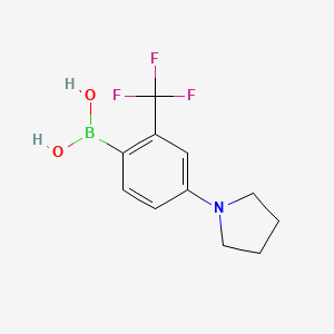 Chemical structure of 2-Trifluoromethyl-4-(pyrrolidino)phenylboronic acid