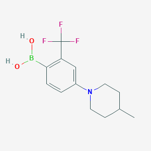Chemical structure of 2-Trifluoromethyl-4-(4-methylpiperidin-1-yl)phenylboronic acid