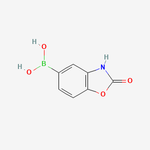 Chemical structure of 2-oxo-2,3-dihydrobenzooxazole-5-boronic acid