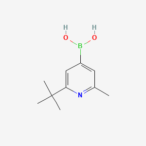 Chemical structure of 2-Methyl-6-(tert-butyl)pyridine-4-boronic acid