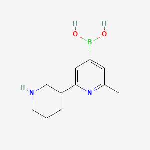 Chemical structure of 2-Methyl-6-(piperidin-3-yl)pyridine-4-boronic acid