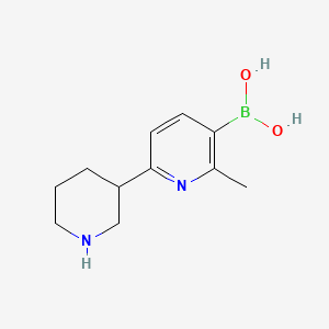 Chemical structure of 2-Methyl-6-(piperidin-3-yl)pyridine-3-boronic acid