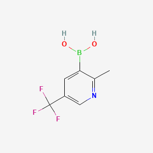 Chemical structure of 2-Methyl-5-(trifluoromethyl)pyridine-3-boronic acid