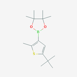 Chemical structure of 2-Methyl-5-(tert-butyl)thiophene-3-boronic acid pinacol ester
